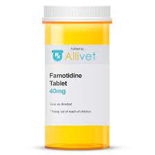 Famotidine Tablet Allivet