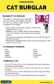 Cat Burglar Do You Know The Meaning Of This Popular Idiom Love English Idioms Burglar Infographic Meaning