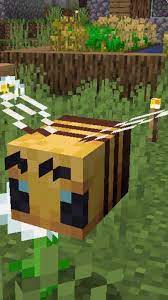 It appears as if bees are no longer spawning in this version of minecraft. The New Bee In Minecraft Version 1 15 Minecraft