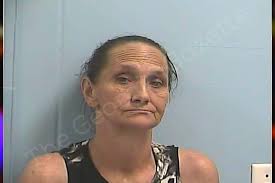 Vera Pruitt — Dawson County Jail Bookings