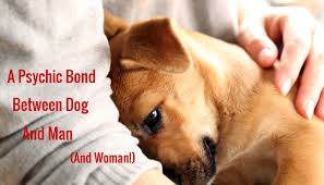 We did not find results for: Real Magic Animal Spells For Our Fur Babies Protection And Healing Hubpages
