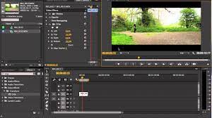 Adobe Premiere Pro Export Widescreen Video Without Letterboxing Youtube