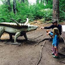 Conform reglementărilor în vigoare, am pregătit o serie de măsuri de protecție, atât pentru vizitatori cât și pentru angajații parcului. Cum A Fost La Dino Parc In RaÈ™nov Kinder Trips