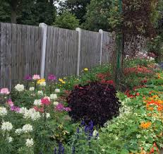 Garden Designer Bath Tips For Low Maintenance Gardens