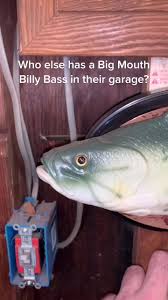bigmouthbillybass #garagebuddy #iwillsurvive
