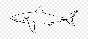 Maybe you would like to learn more about one of these? Animals Coloring Pages Animals Whale Shark Drawing Great White Shark Outline Free Transparent Png Clipart Images Download