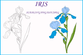 Free Free 67 Iris Flower Svg SVG PNG EPS DXF File