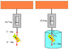 Physics Buoyancy And Archimedes Principle