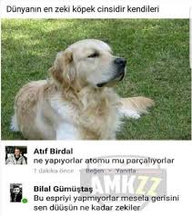 Kim Somi Adli Kullanicinin Funny Panosundaki Pin Komik Seyler Mizah Komik