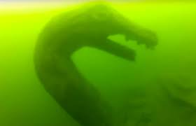 Check spelling or type a new query. Ogopogo And Shuswaggi Aren T The Only Lake Monsters To Have Legendary Status Penticton Western News