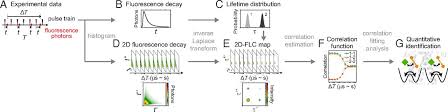 Therefore 1 millisecond = 0.001 seconds. Microsecond And Millisecond Dynamics In The Photosynthetic Protein Lhcsr1 Observed By Single Molecule Correlation Spectroscopy Pnas