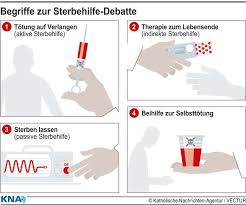 Begriffe Zur Sterbehilfe Debatte Mediendatenbank