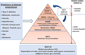 Frontiers Chronic Inflammation In Non Alcoholic Steatohepatitis Molecular Mechanisms And Therapeutic Strategies Endocrinology
