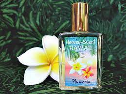 Hawaiian Plumeria Perfume Custom Blended Roll On Perfume Etsy Plumeria Perfume Roll On Perfume Perfume
