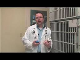 The best , most affordable, and most common brand is called head and shoulders. Caring For Cats How To Cure Your Cat Of Dandruff Youtube