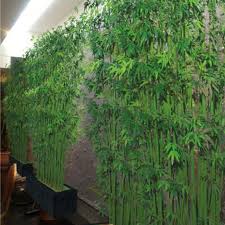 Pflanze bambus am besten im frühling an. Neue Produkt Kunstliche Bambus Bambus Zaun Fur Indoor Outdoor Dekoration Bambus Pflanzen Buy Bambus Zaun Aussen Kunstliche Bambus Kunstliche Bambus Pflanzen Product On Alibaba Com