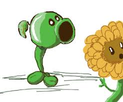 Twin sunflower is a plant in plants vs. Pvz Sunflower And Peashooter Drawception