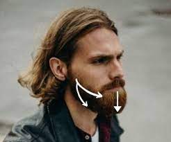 72 best facial hair free brush downloads from the brusheezy community. So Should You Comb Your Beard Up Or Down Ready Sleek