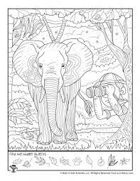 Safari Hidden Picture Worksheet Woo Jr Kids Activities Hidden Pictures Hidden Pictures Printables Picture Puzzles