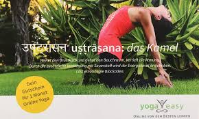 Discover yoga, learn yoga poses, no matter how old our young you are. Exclusively For You Test 4 Weeks Yogaeasy The Online Yoga Studio Nosade