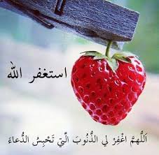 Https Islamic Images Org صور دينيه راقيه معلومات وعبارات قيمه Http Islamic Images Org Fruit Cool Bookshelves Strawberry