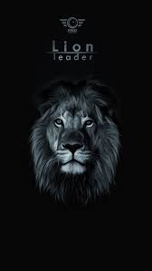 We hope you enjoy our growing collection of hd images to use as a. Lion Faizi Creation Faizicreation King Lion Face Lions Hd Mobile Wallpaper Peakpx