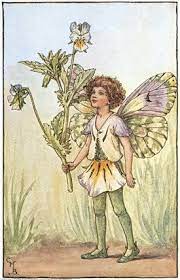 Heart S Ease Fairy Cicely Mary Barker Vintage Fairies Flower Fairies Cicely Mary Barker