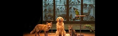 The Animal Room - Visitez Luxembourg Ville