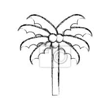 Skizze Zeichnen Niedlichen Strand Palme Cartoon Vektor Grafik Wandposter Poster Schone Wedel Kokosnuss Myloview De
