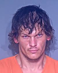 Arrest made in burglaries, thefts