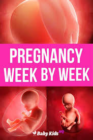 Pin On Pregnancy Tips