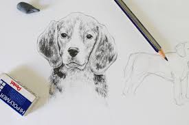 The pile was traditionally made from wool, but since the 20th century, synthetic fibers such as polypropylene, nylon or polyester are often used, as these fibers are less expensive than wool. Drawing Realistic Animals How To Draw A Dog Craftsy