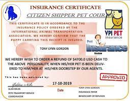 They collect the animal, either for free or. How To Spot An Online Pet Scam Aug 2019 Citizenshipper