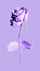 Pin On Purple Purple All the links are updated and work, if you have any issues with downloading or trying to. pin on purple purple