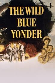 The Wild Blue Yonder | Rotten Tomatoes