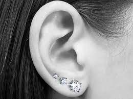 3 Ohrringstecker hintereinander | Double helix piercing, Ear piercings, Ear