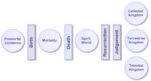 A life plan is like a map that helps guide you towards a more meaningful life. Lds Plan Of Salvation Quotes Quotesgram