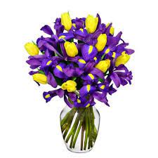 Yellow And Purple Iris Bouquet Iris Flower Delivery With Yellow Tulips Iris Bouquet Flower Delivery Blue Iris Flowers
