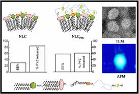 They're not great for traction, and slip a lot when you first hit the gas. Role Of Peg 2000 In The Surface Modification And Physicochemical Characteristics Of Pyrazinamide Loaded Nanostructured Lipid Carriers Springerlink