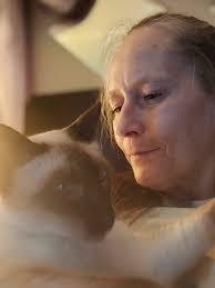 What are the different cat breeds and names?