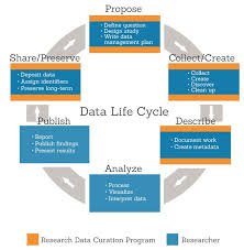 Data Lifecycle Business Intelligence Data Management