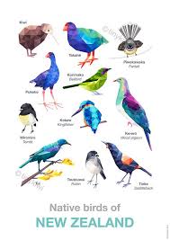 New Zealand Birds Poster A2 Poster Tui Par Tinykiwiprints Sur Etsy Geometric Bird New Zealand Art Bird Poster