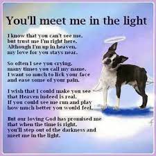 Jun 15, 2021 · though congress hasn't enacted a meaningful gun safety law in more than 25 years, we have a chance to turn the page. 28 Dogs Prayers For Loss Ideas Dogs Dog Quotes Rainbow Bridge