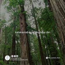 Katakanlah Jika Kau Telah Bosan Katakanlah Jika Kau Telah Jenuh Katakanlah Jika Kau Telah Lelah Katakanlah Agar Aku Tahu Diri Jangan Patah Hati Tahu Kutipan