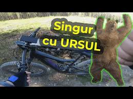 In prima etapa a parcurs 1/3 din tot drumul, in a doua 20% din restul drumului si in a treia etapa ultimii 40 km. Un Biciclist S A Intalnit Cu Un Urs In Predeal In MinivacanÈa De 1 Mai A Filmat ToatÄ Scena