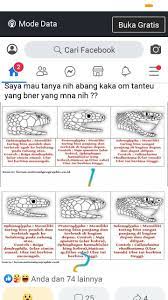 Taring Ular Terlucu Di Dunia Desain Grafis Lucu