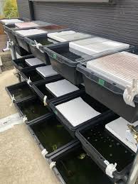 メダカ 越冬 発泡スチロール 蓋