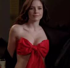 Boner Material: Sophia Bush - Porn GIF Video | nebyda.com
