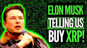 How to buy xrp with us dollars how to buy xrp with crypto. Did Elon Musk Secretly Tell Us To Invest In Xrp Starlink Free