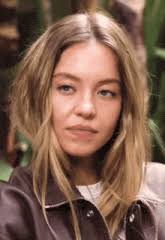 Sweeny Tim Sweeny GIF